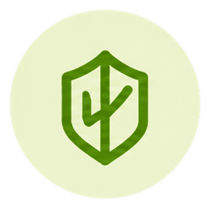 RFID Protection